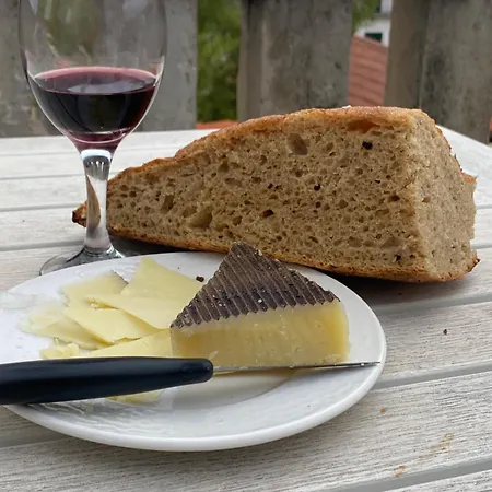 Cozy Seaview Retreat Split